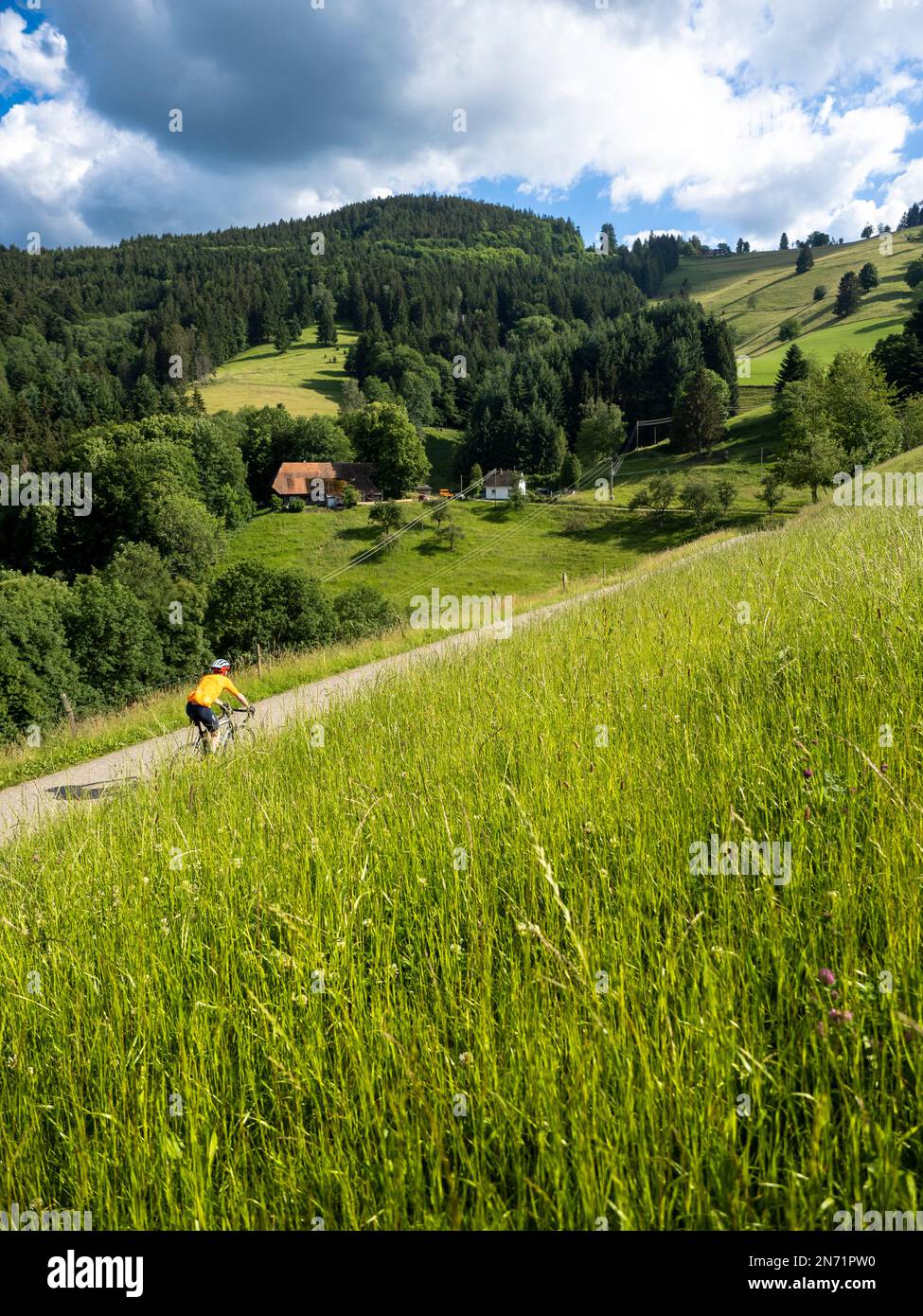 Road cyclist on side road in Horben / Breisgau Hochschwarzwald. Stock Photo
