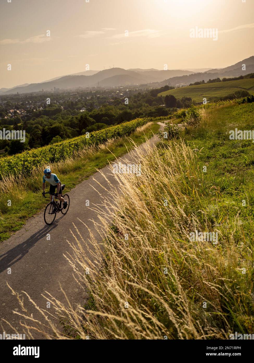 Road cyclist in the vineyards near Freiburg-St. Georgen. In the background the city of Freiburg and the peaks of the Black Forest. Stock Photo