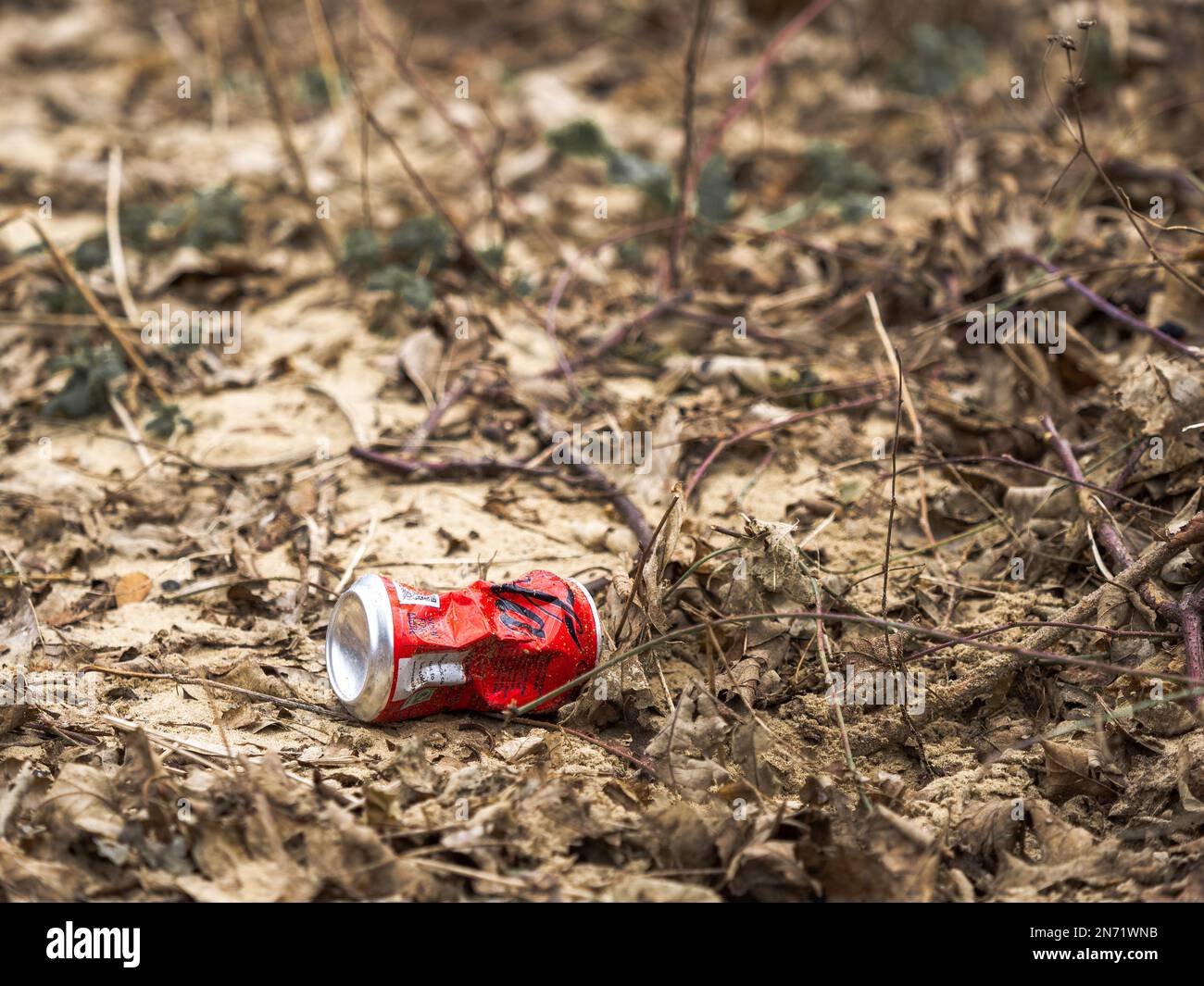 Crushed red aluminum drinks can discarded and thrown on the forest floor copy space Stock Photo