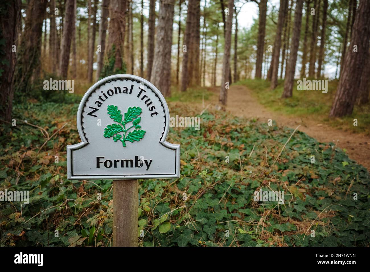 Formby Point national trust woodland walks through the forest and along the beach Stock Photo