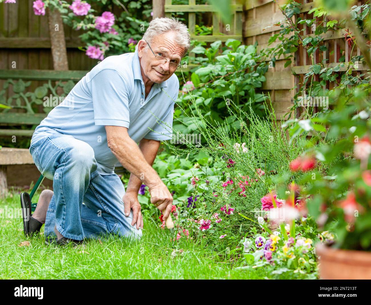 Garden of keen gardener hi-res stock photography and images - Alamy