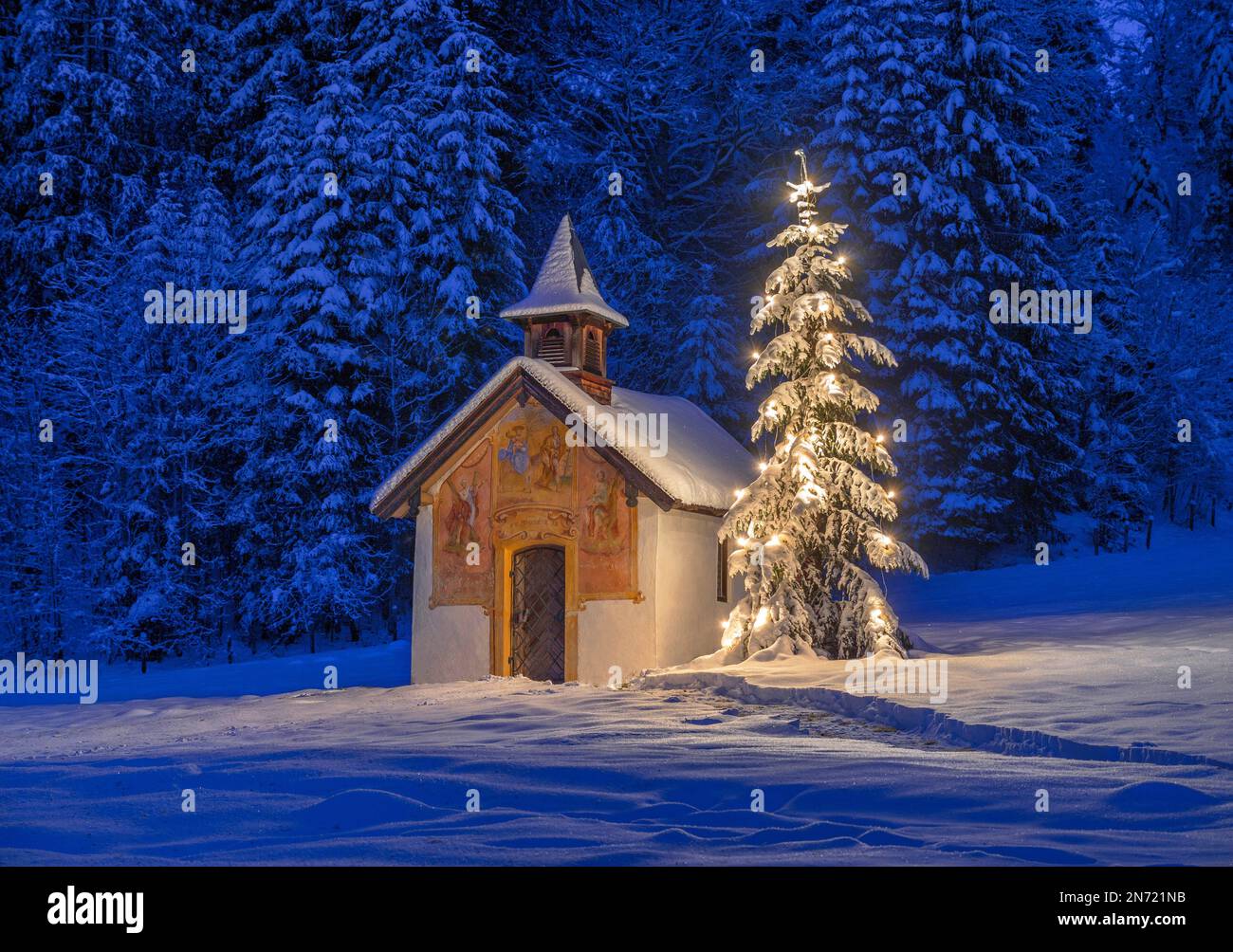 Illuminated Christmas tree in front of a chapel in winter, Bavaria, Upper Bavaria, Germany