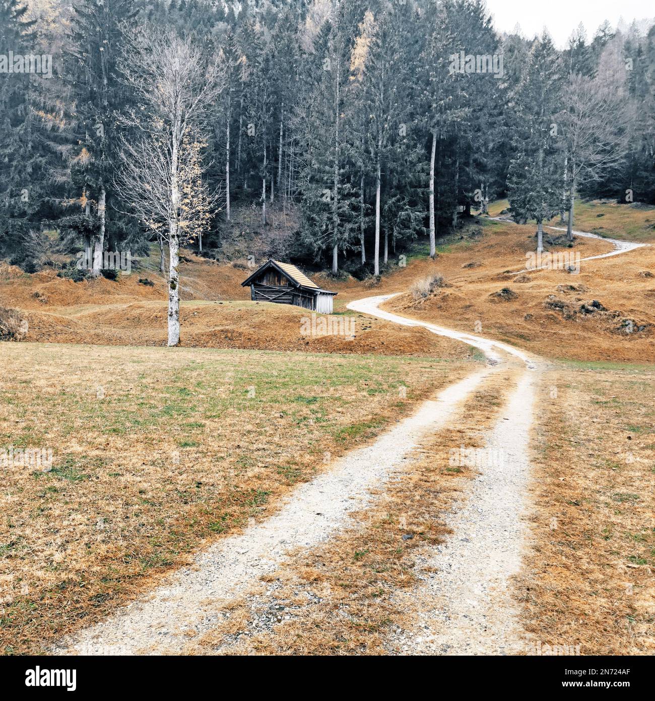 Road through brown mown meadows to a hut at the edge of the forest