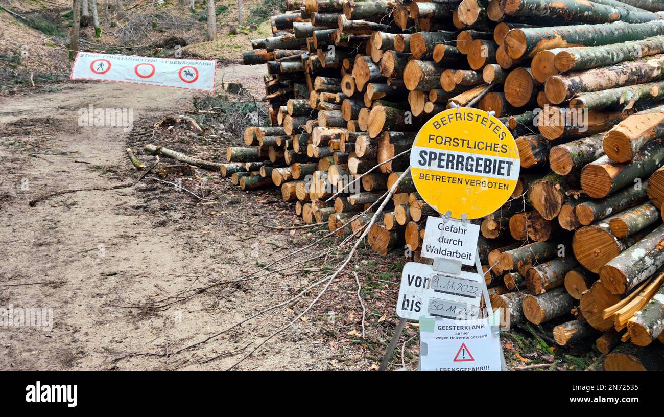 Temporary restricted area due to danger from tree felling work Stock Photo