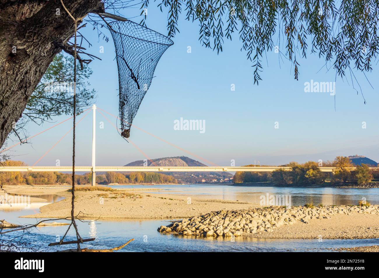 Landing net on tree hi-res stock photography and images - Alamy