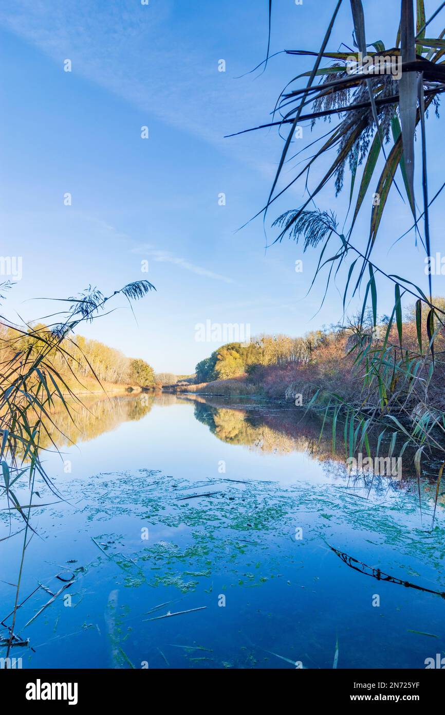 Nationalpark DonauAuen, DanubeAuen National Park, oxbow lake