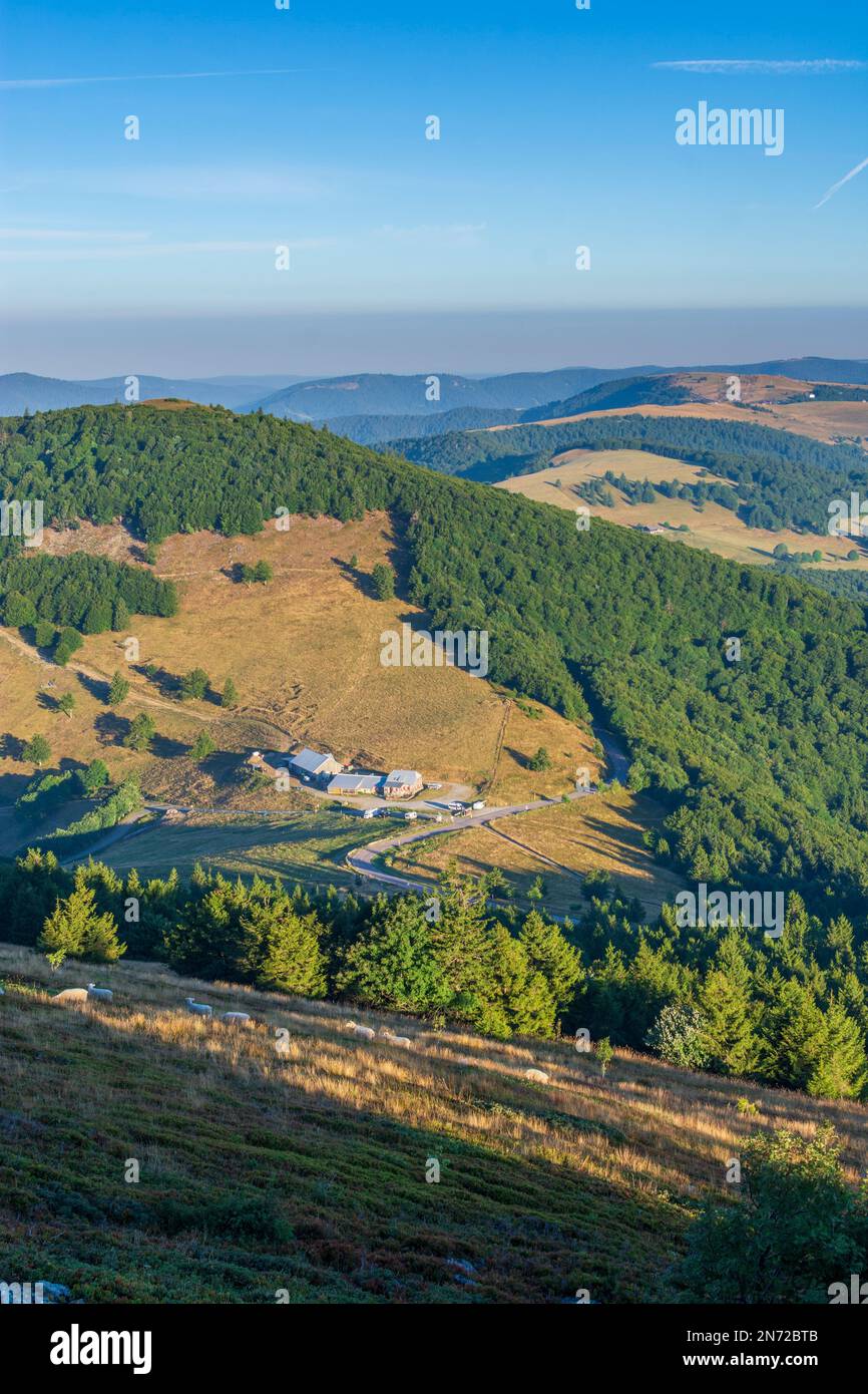 Cest ferme hi-res stock photography and images - Alamy