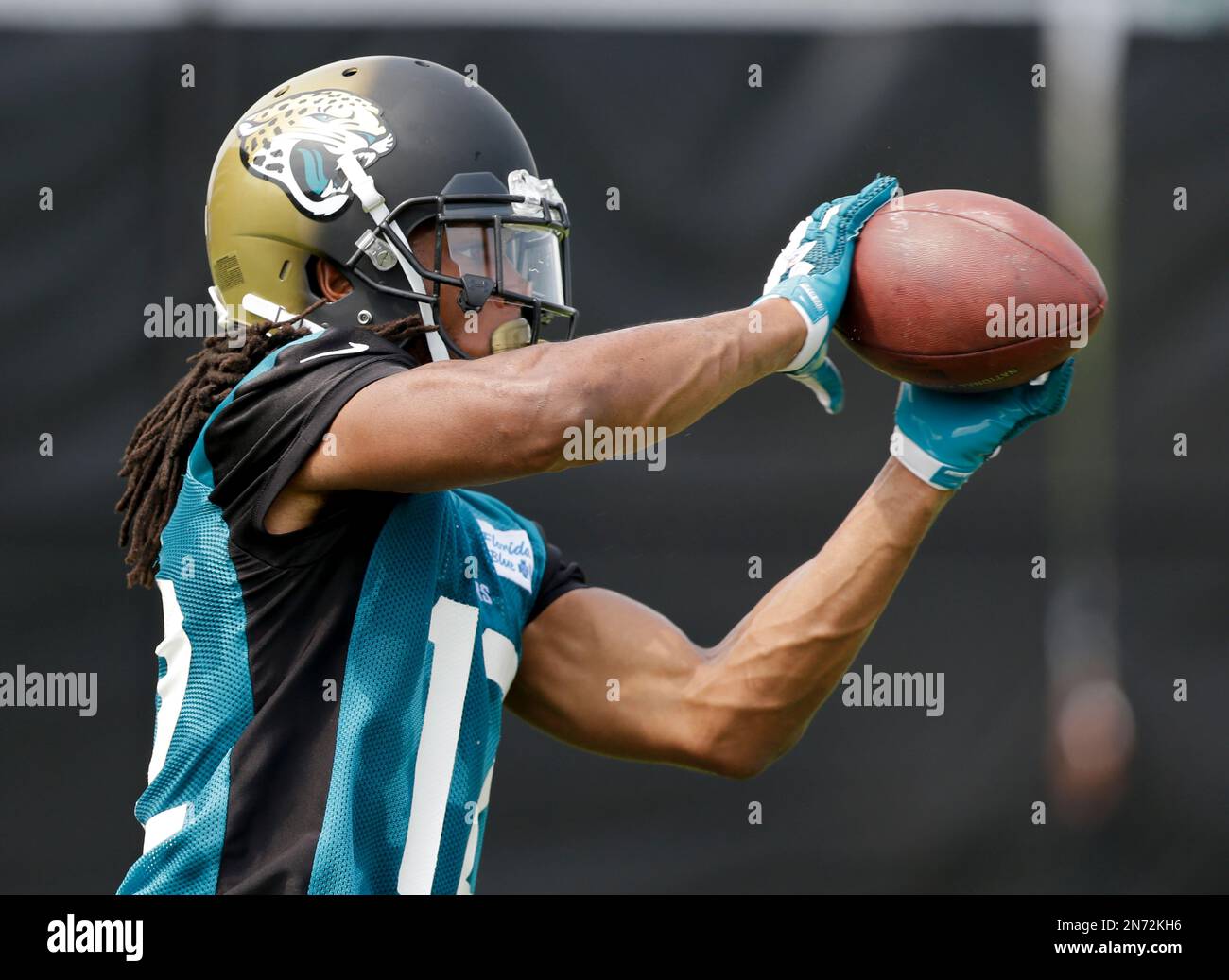 Jacksonville Jaguars wide receiver Mike Brown catches a pass during NFL football training camp