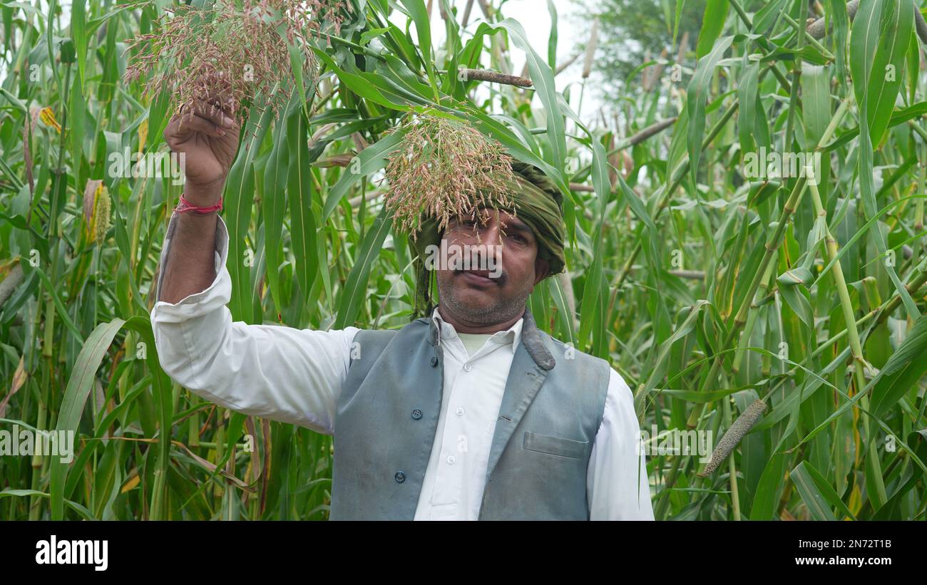 Young farmer agronomist in millet or field checking crops before harvest. Organic food
