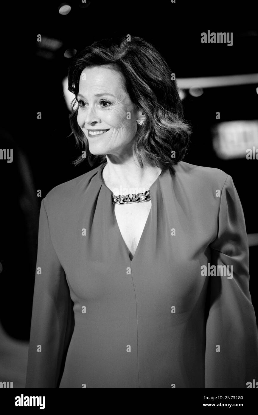 Il cast di Master Gardener sul red carpet de La Biennale di Venezia