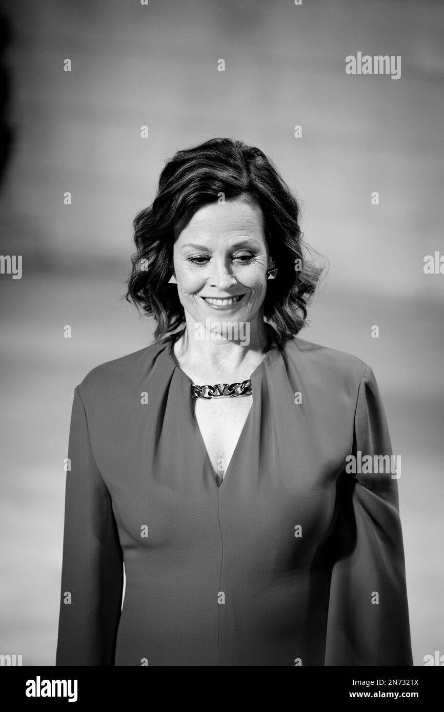 Il cast di Master Gardener sul red carpet de La Biennale di Venezia