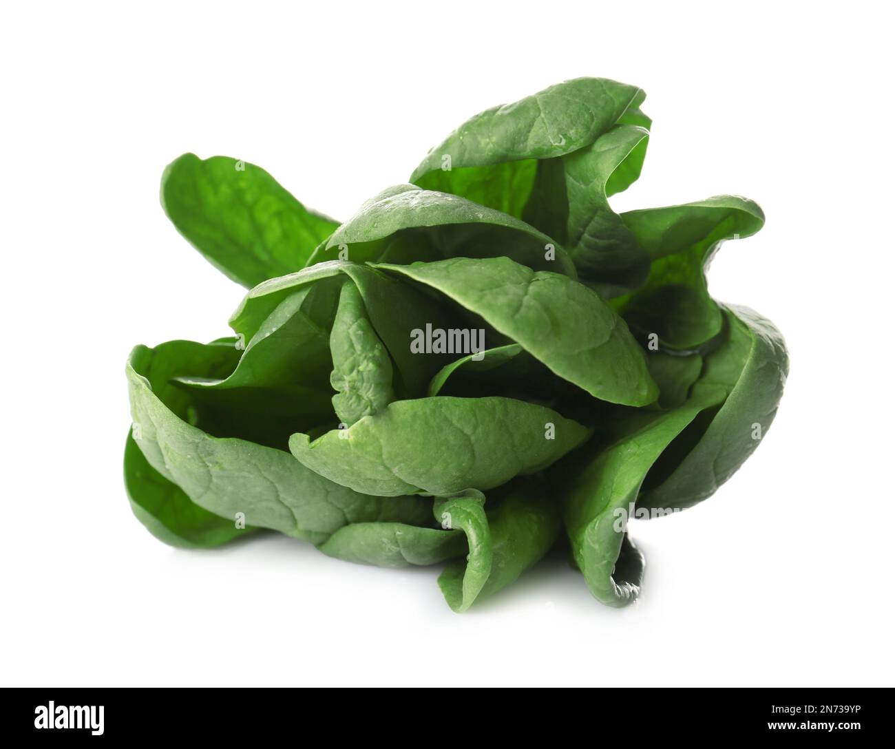 Bunch of fresh spinach isolated on white Stock Photo - Alamy