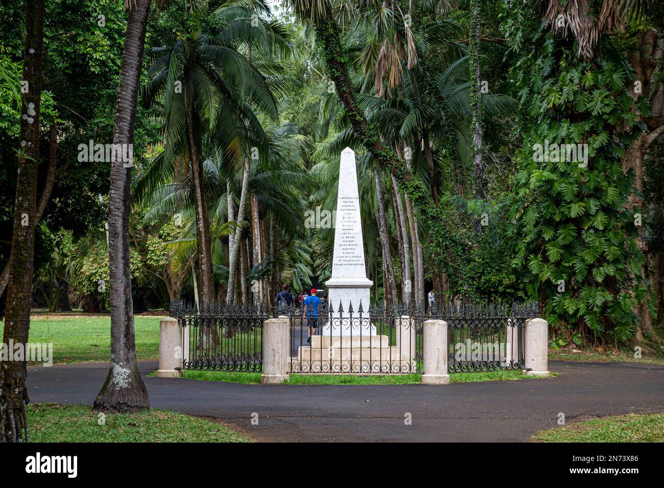 The Trees at Sir Seewoosagur Ramgoolam Botanical Garden, Mauritius ...