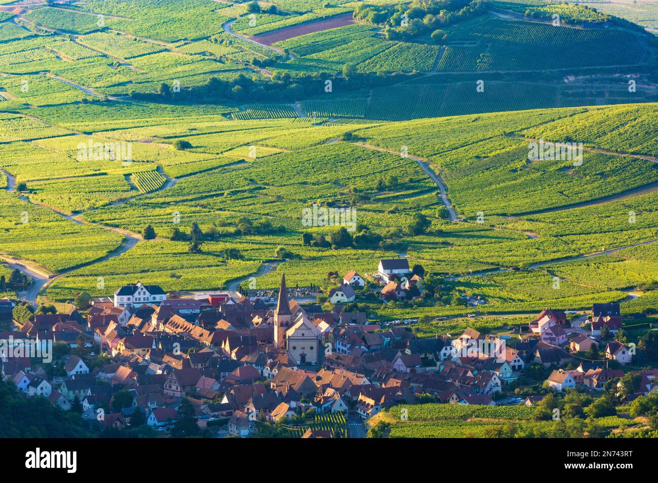Niedermorschwihr (Niedermorschweier), view to Niedermorschwihr