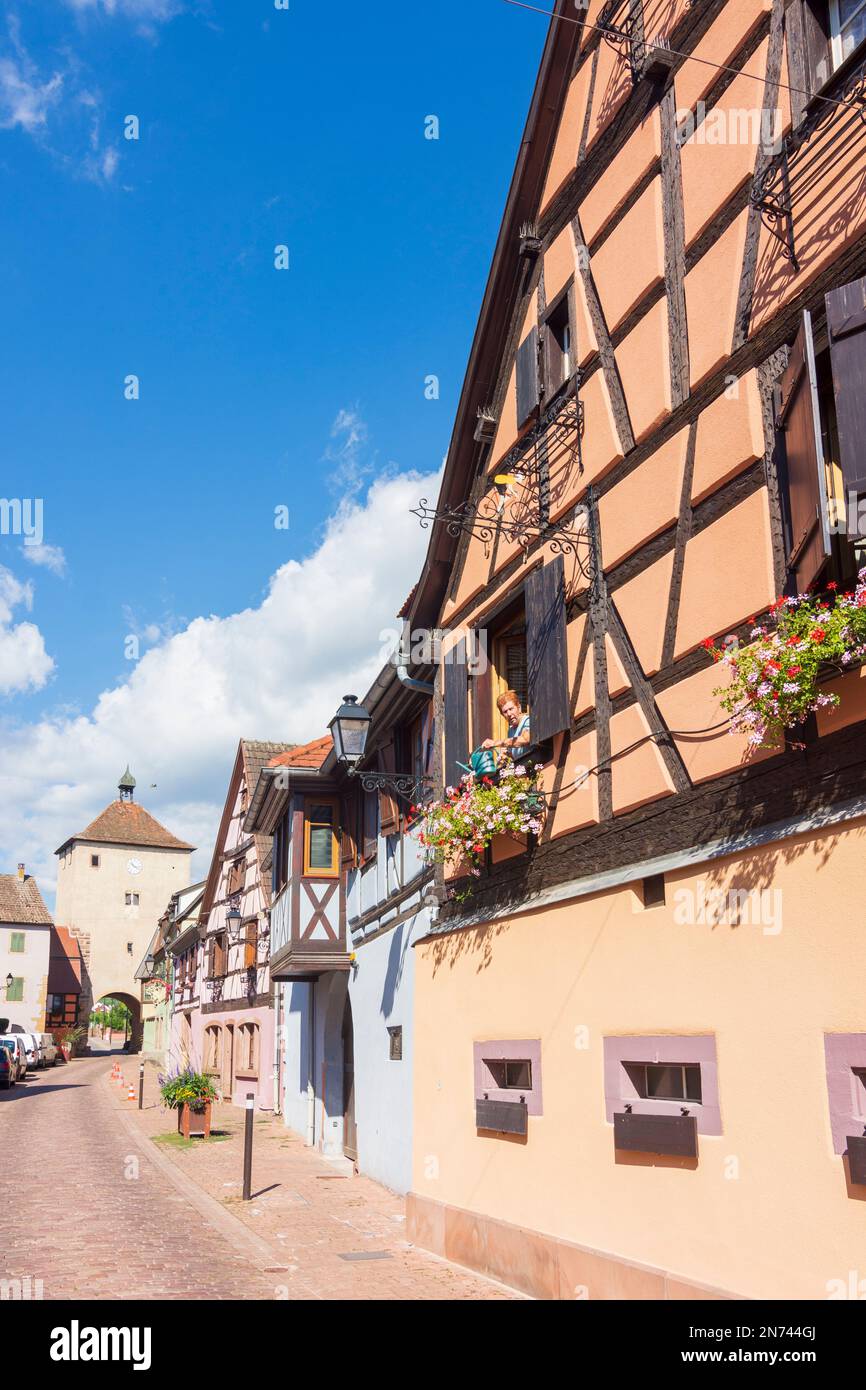 Turckheim (Türkheim), halftimbered houses, city gate Porte de Munster