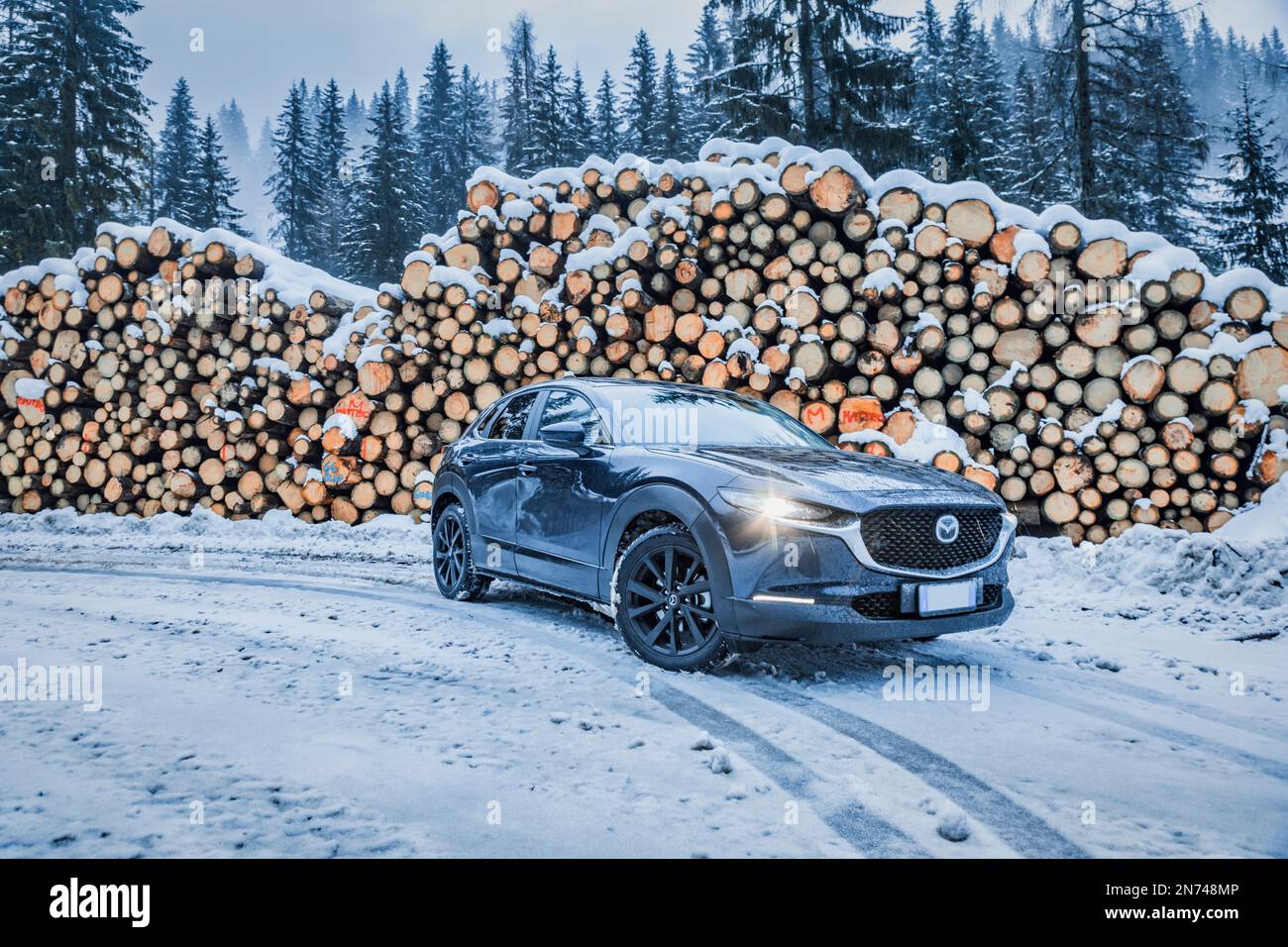 Italy, Veneto, Belluno, a Mazda Motor Corp. CX-30 crossover sport utility vehicle (SUV) in winter parked near a pile of fir logs in Dolomites Stock Photo