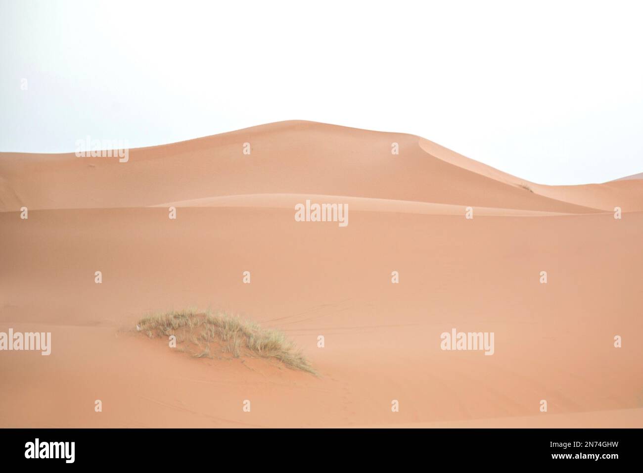 South Africa, desert Stock Photo Alamy