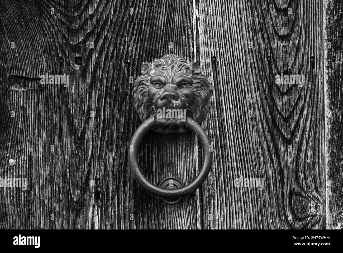 Old-fashioned door knocker in shape of a lion head somewhere on a door in downtown Matera, Italy Stock Photo
