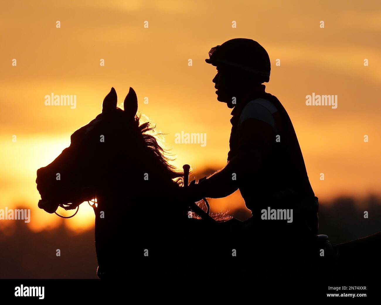 An exercise rider rides a horse during morning workouts at Saratoga ...