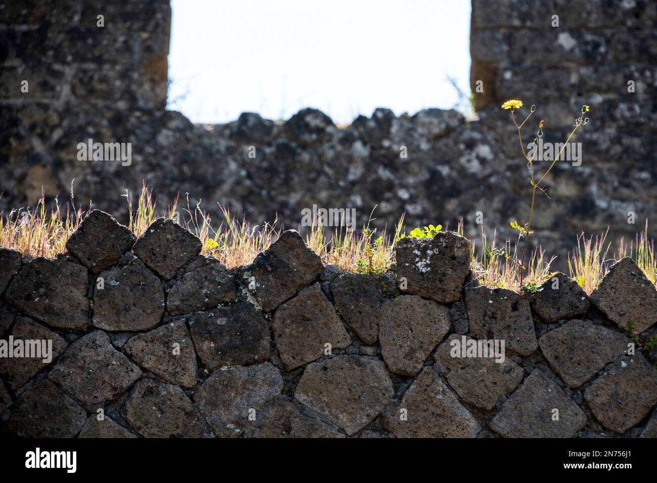 Close view of a typical composed ancient Roman wall at an old building, Italy Stock Photo