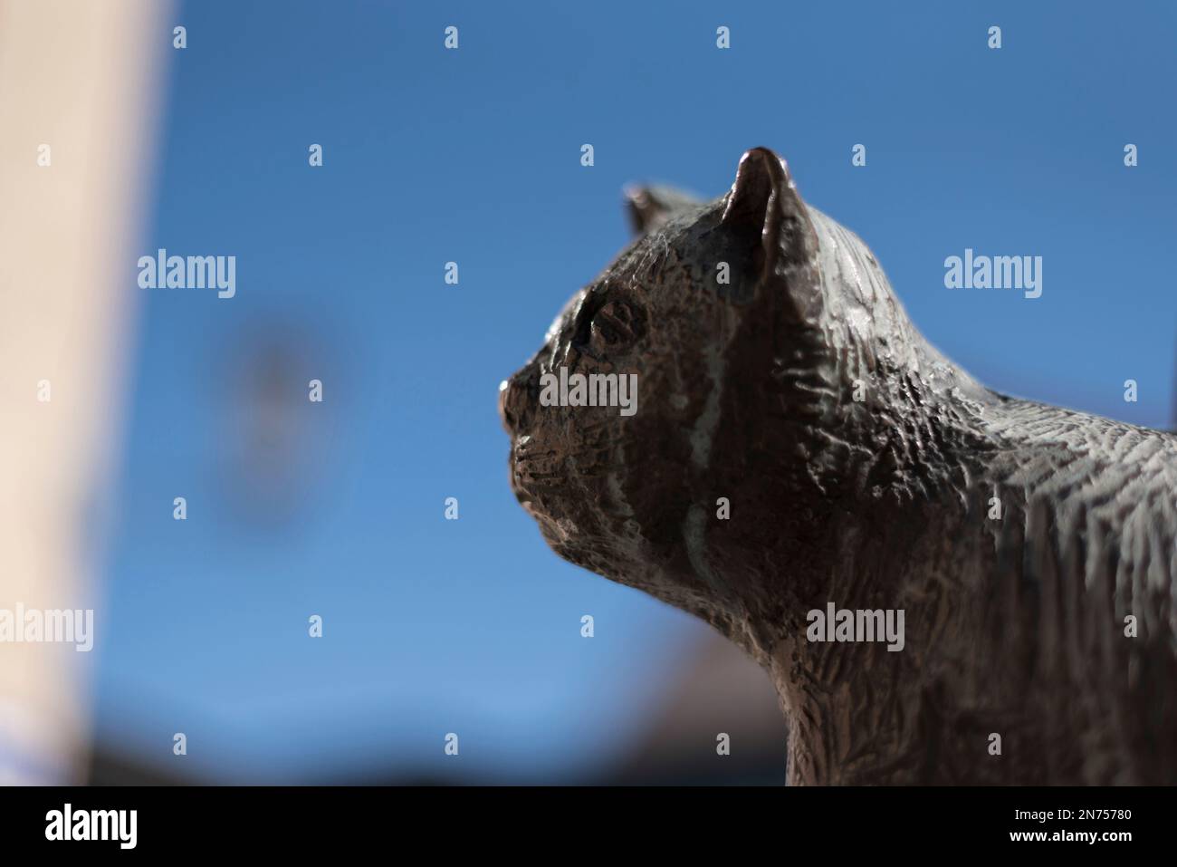Statue of cat Murr at the statue of E.T.A. Hoffmann in Bamberg, Germany ...