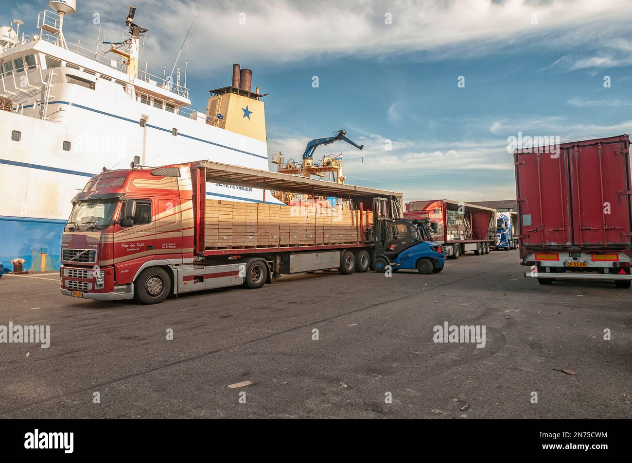 trucks are loaded with packs of frozen fish at the quay in IJmuiden Netherlands Stock Photo