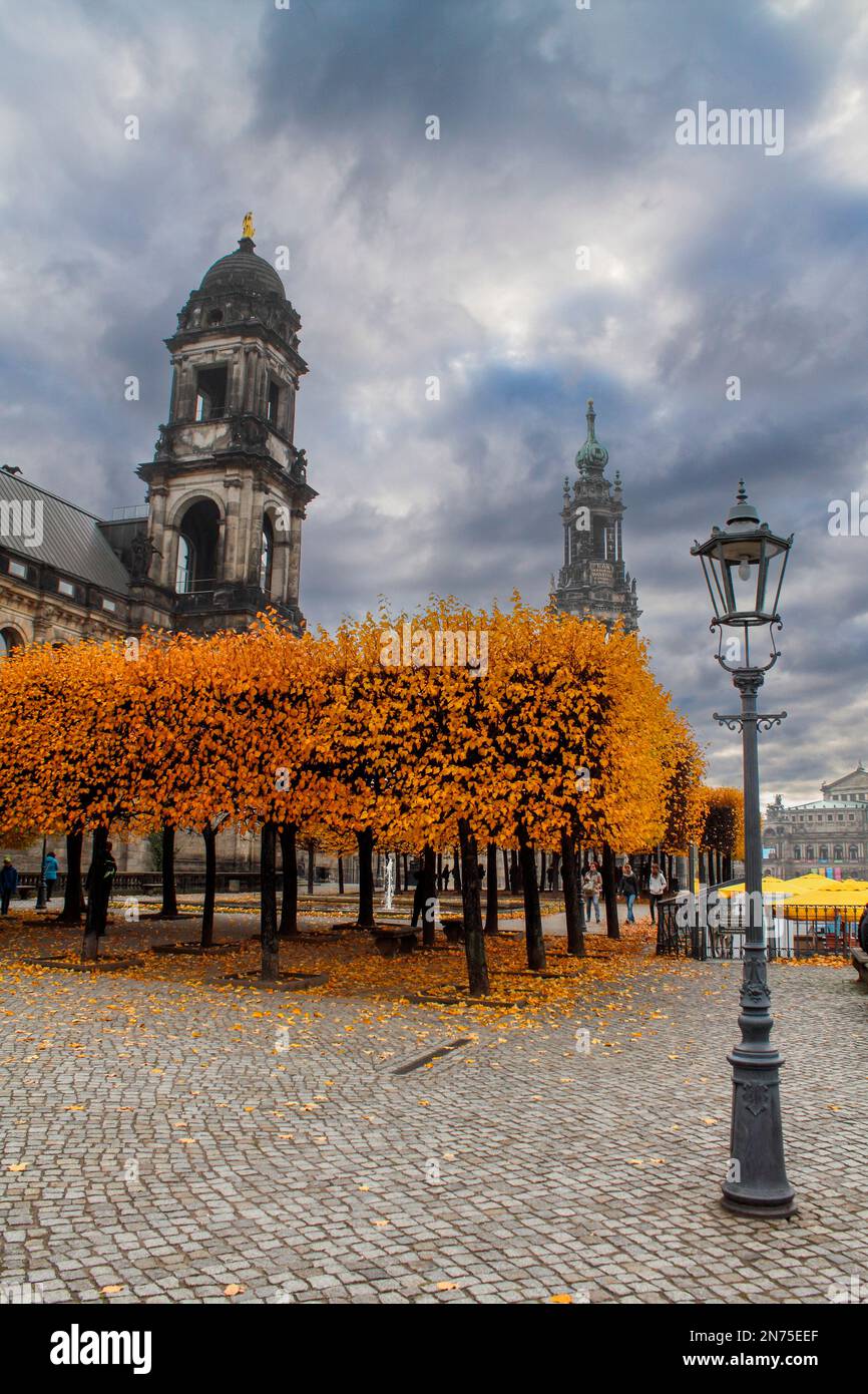 The Bruehl terrace in autumn with vibrant yellow trees, Germany Stock Photo
