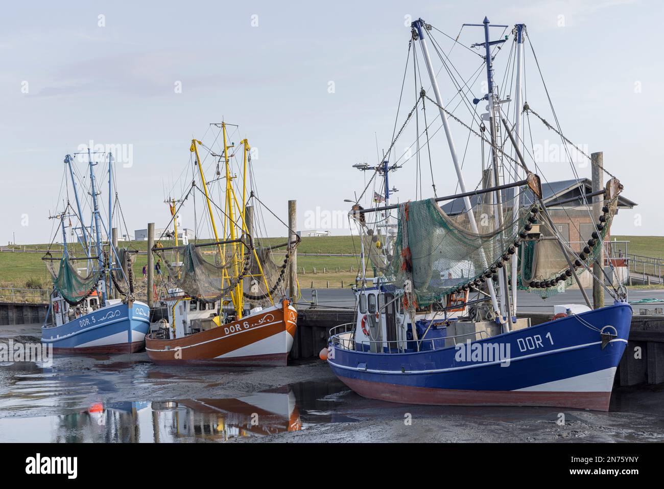 Fishing cutter in Dorum harbor, low tide, Dorum-Neufeld, Cuxhaven county, Lower Saxony, Stock Photo