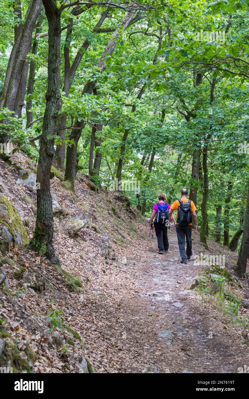 stellenangebote landkreis mainz bingen