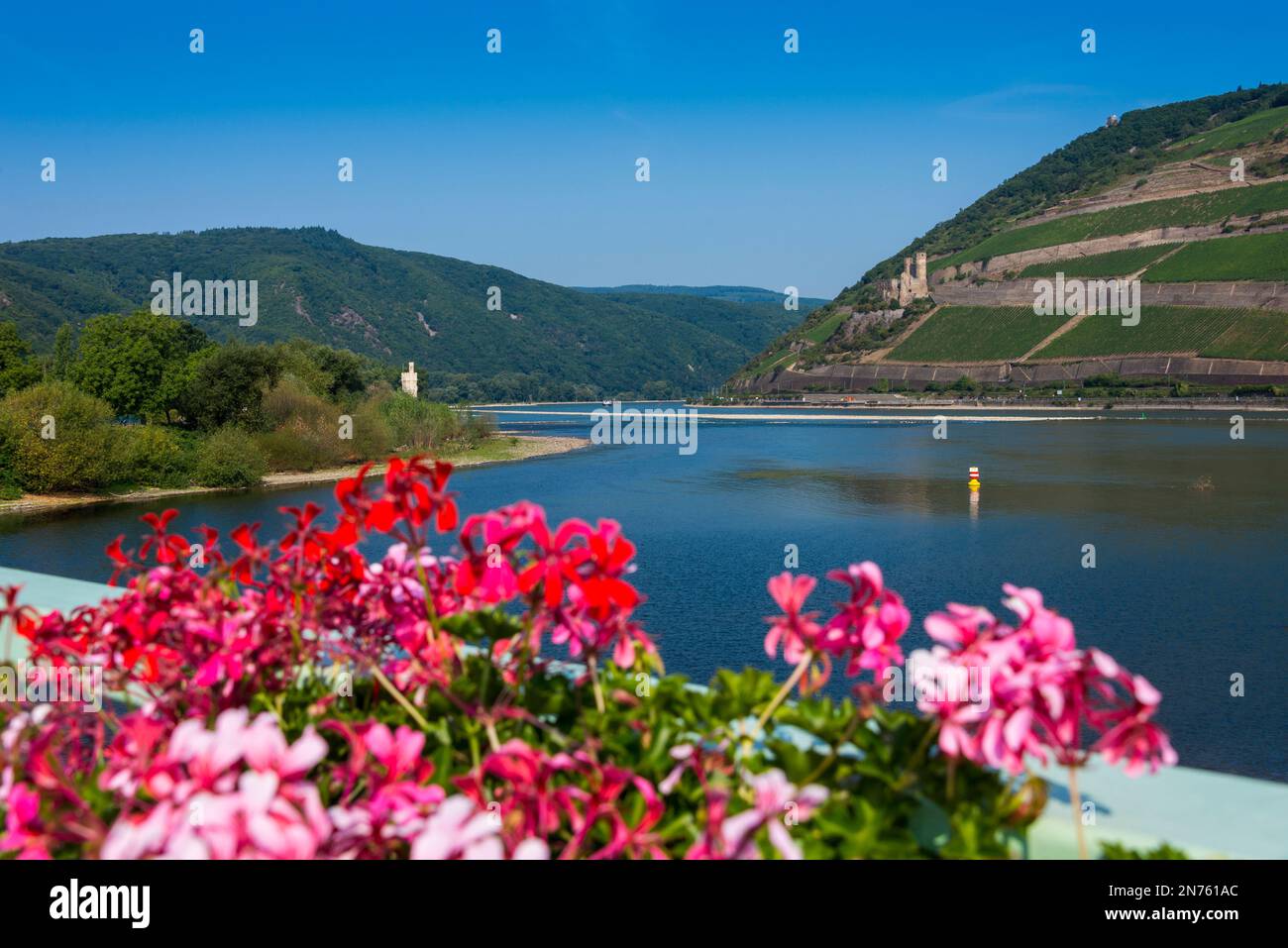 stellenangebote landkreis mainz bingen