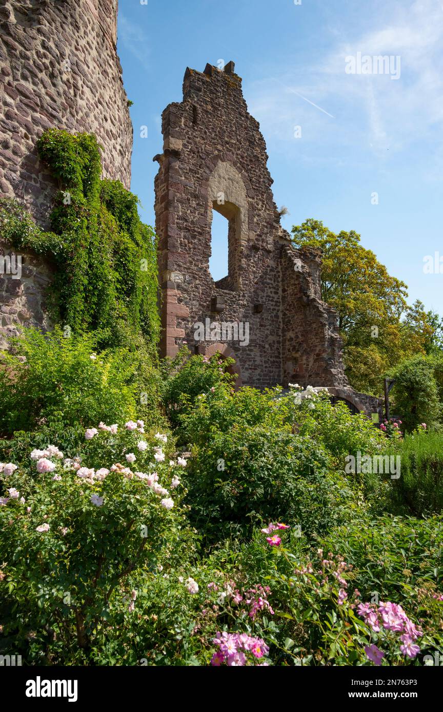 Germany, Hesse, Dreieichenhain, Dreieichenhain old town, Hayn castle