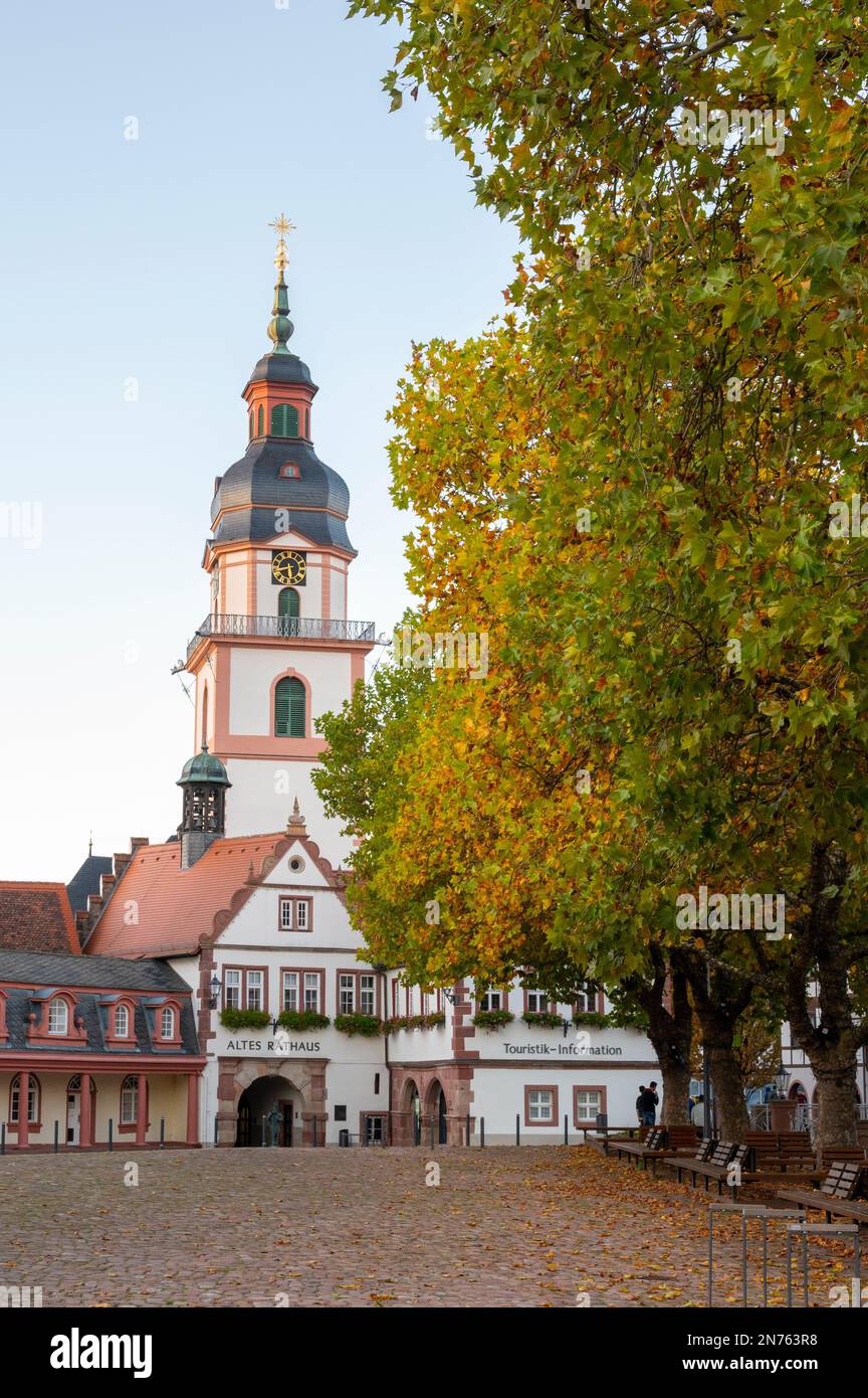 Germany, Hesse, Odenwaldkreis, Erbach, Odenwald, market place, town church Erbach Stock Photo