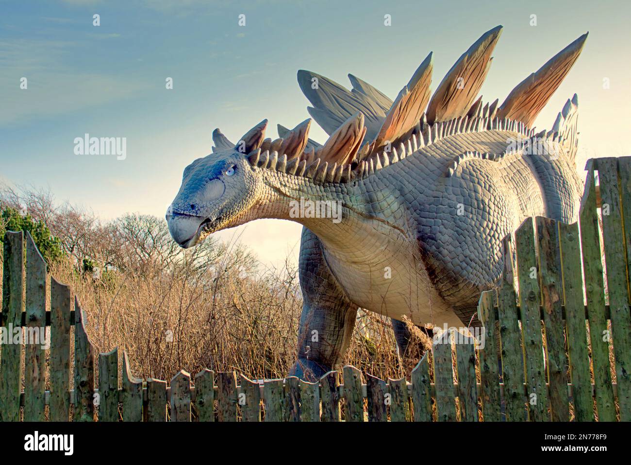 Stegosaurus animatronic model of at Edinburgh Zoo Hilltop dinosaur display Stock Photo