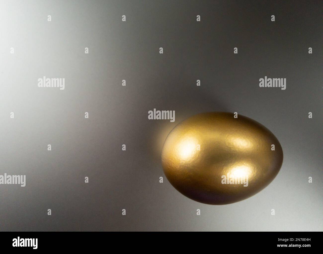 Single golden egg on a plain silver background Stock Photo