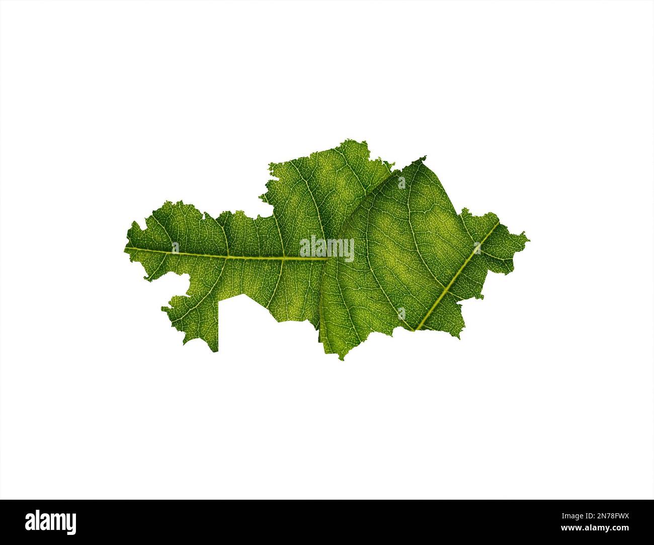 The Kazakhstan map made of green leaves isolated on a white background Stock Photo