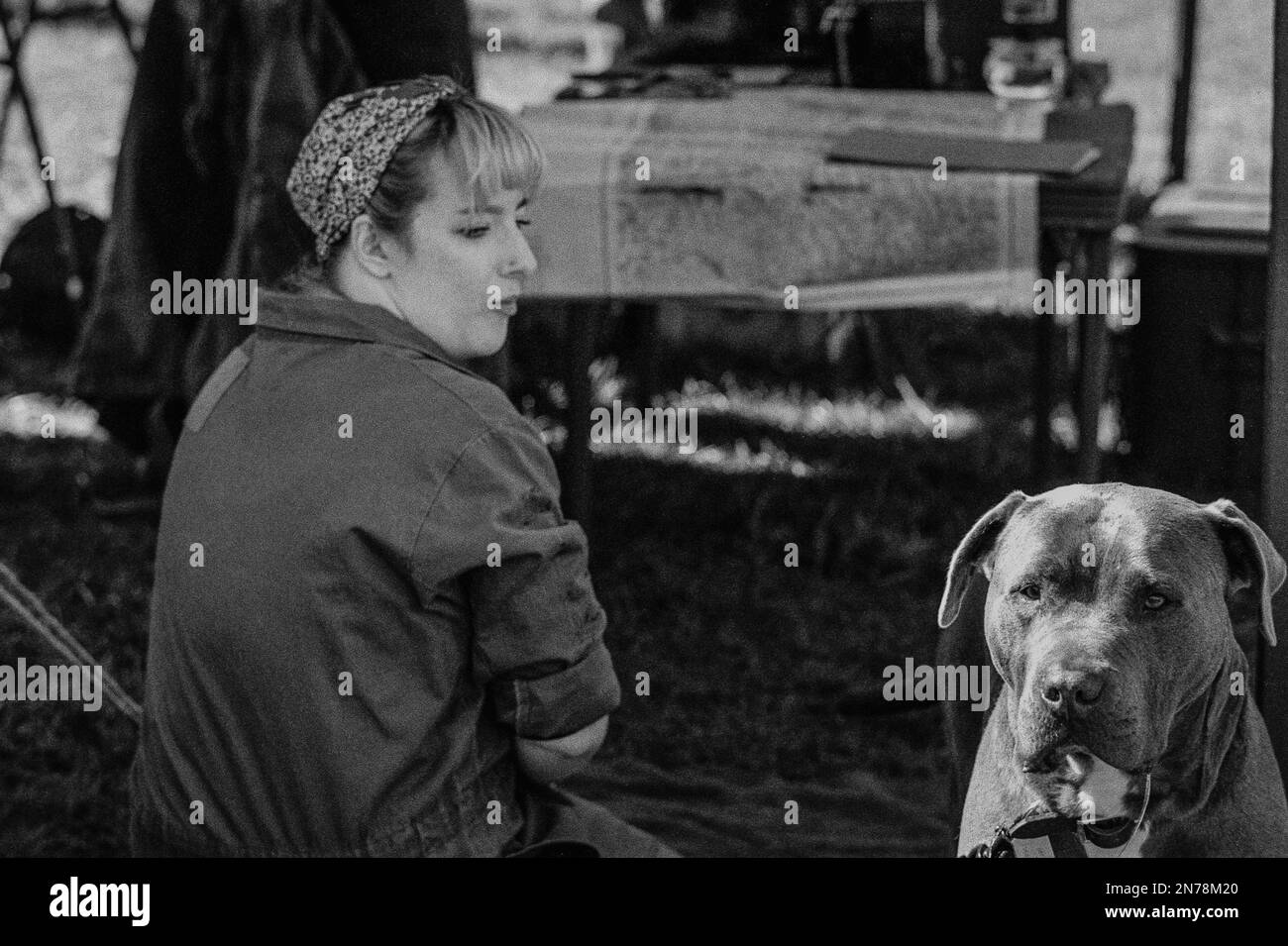 A WWII WAAC reenactor sits with her dog in a tent at the American Heritage Museum. The image was captured on analog black and white film. Hudson, Mass Stock Photo