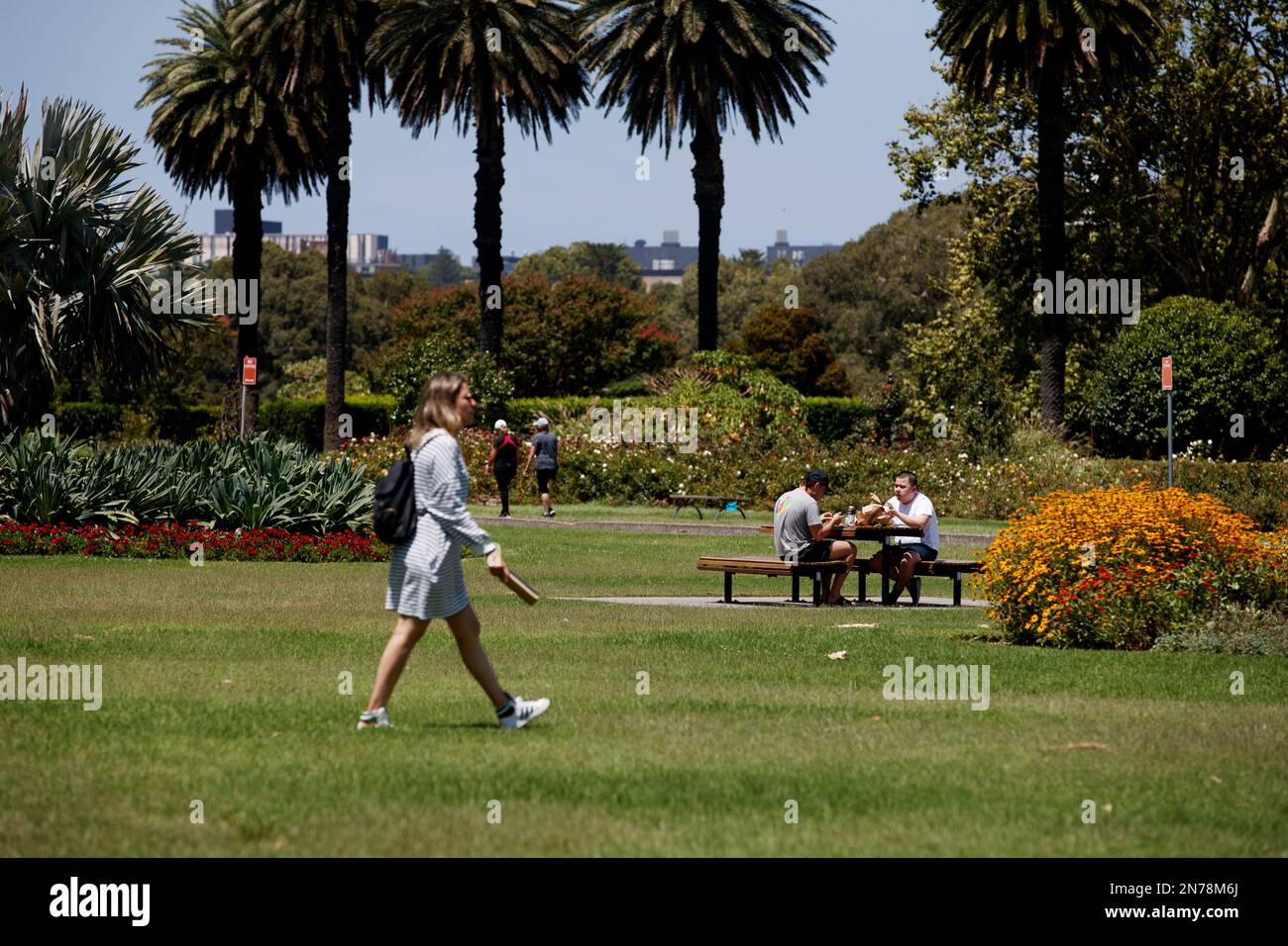 People picnic at Centennial Park in Sydney, Thursday, February 2, 2023