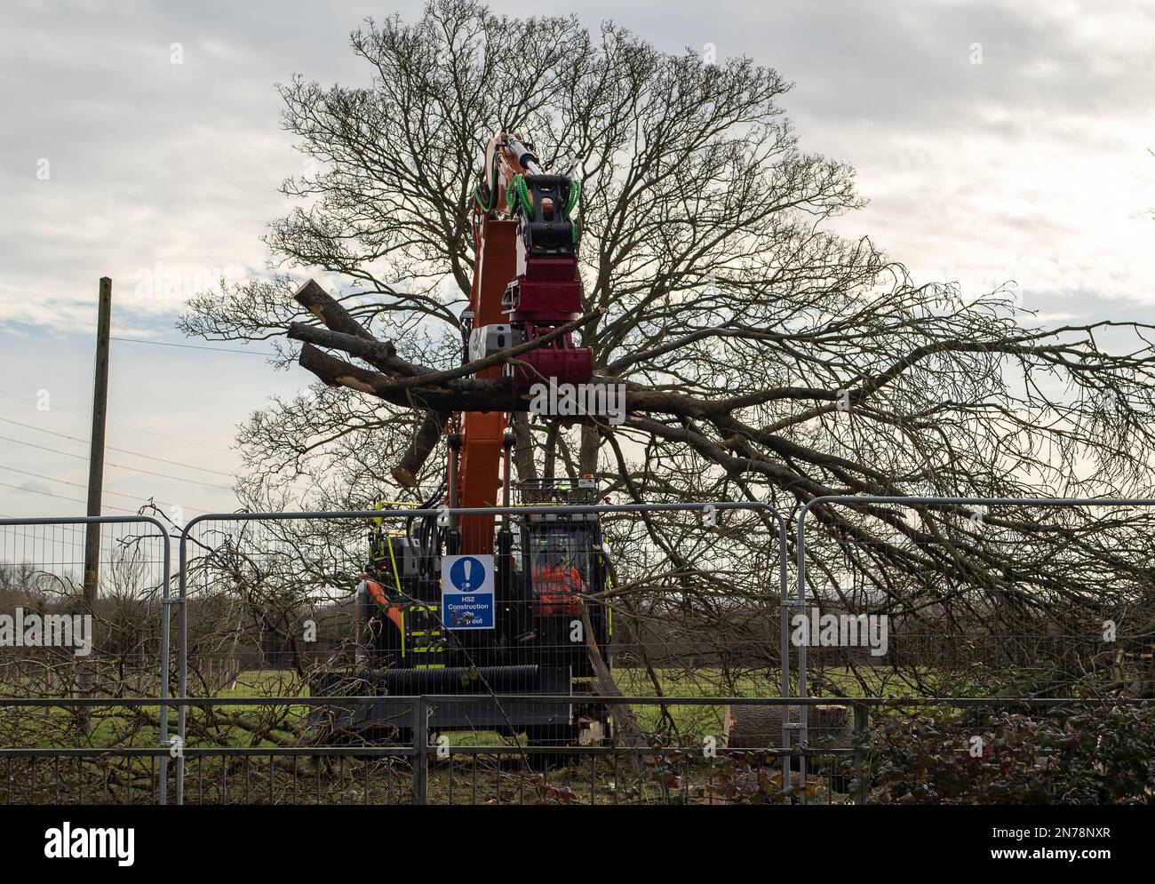 Hartwell, Aylesbury, UK. 5th February, 2023. HS2 were felling yet another row of trees in Hartwell. This week the Wildlife Trusts in their damning report about the High Speed 2 impact upon wildlife their Chief Executive Craig Bennett, said that 'This vast infrastructure project is taking a wrecking-ball to wildlife and communities are in despair at losing the wild places – the woods, meadows and wetlands that they love - they will never get these back. So HS2 Ltd must repair nature in a way that’s commensurate with the magnitude of the damage being caused'. They are calling on HS2 to pause all Stock Photo