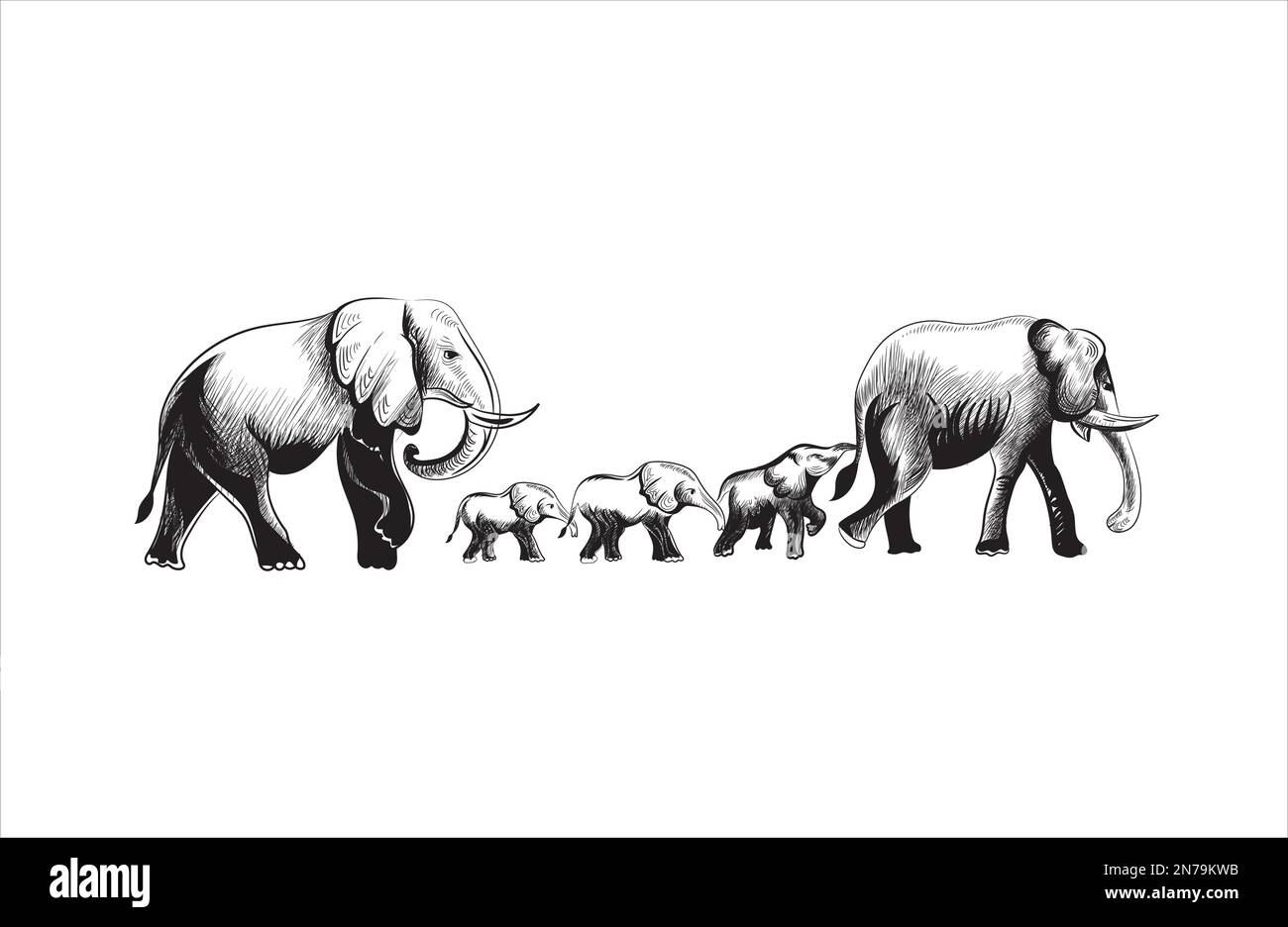 Elephant family sketch Stock Vector Image & Art Alamy