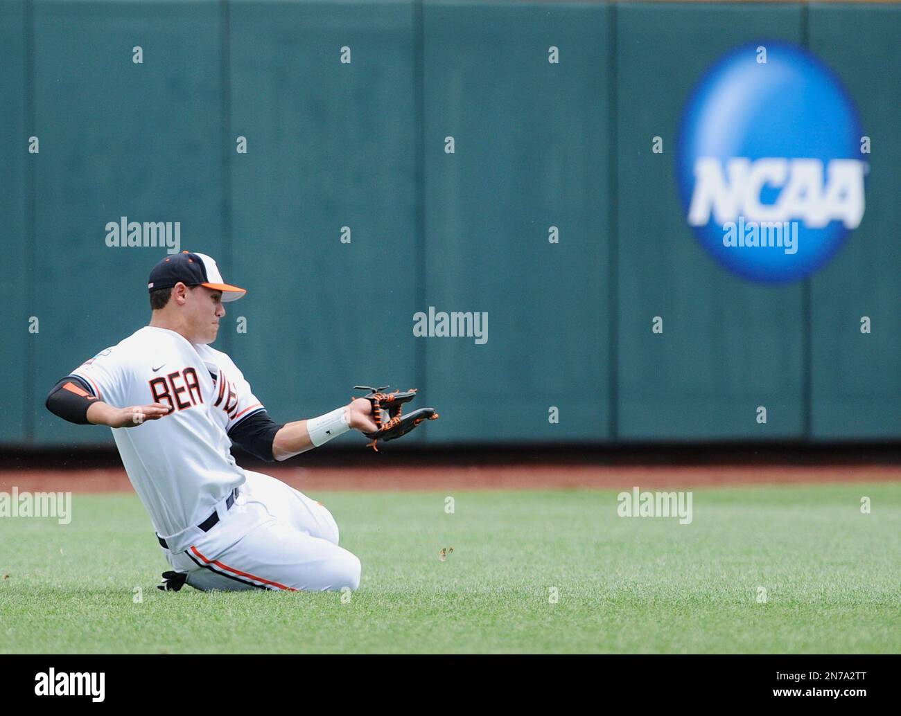 Mississipi conforto hotsell