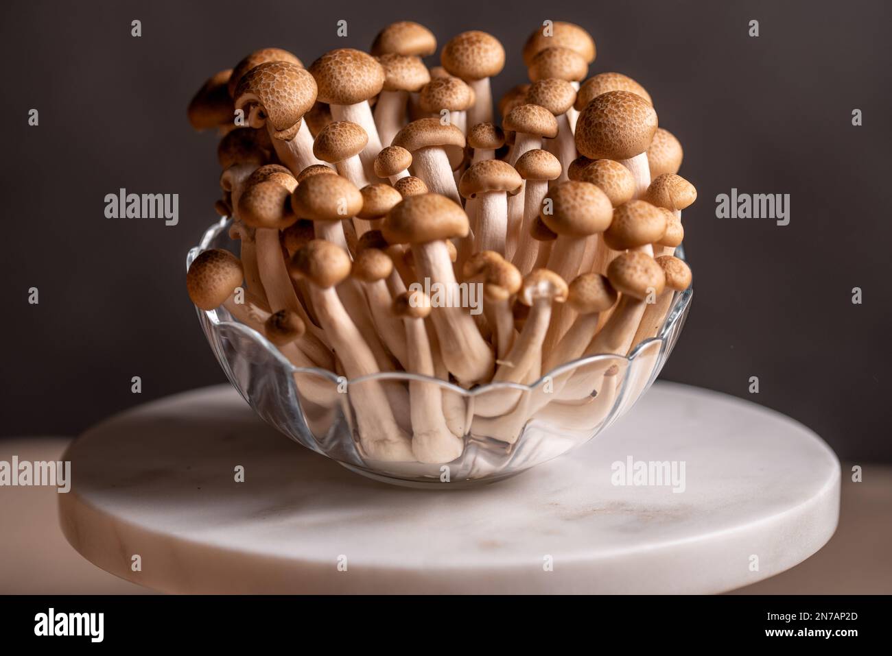 Brown shimeji edible mushrooms Shimeji native to East Asia, buna