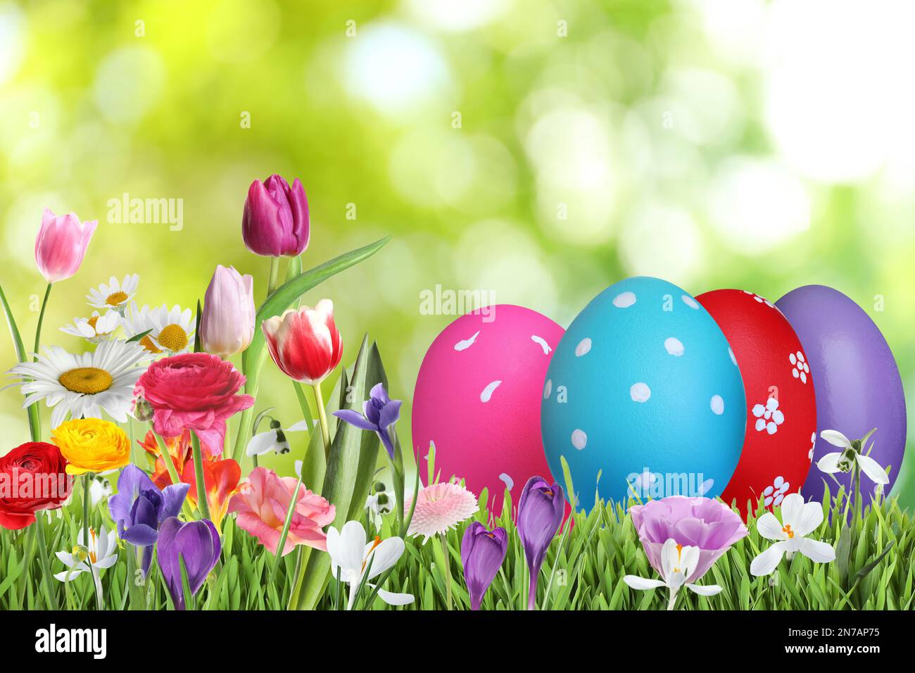 Bright Easter eggs and spring flowers on green grass outdoors Stock ...