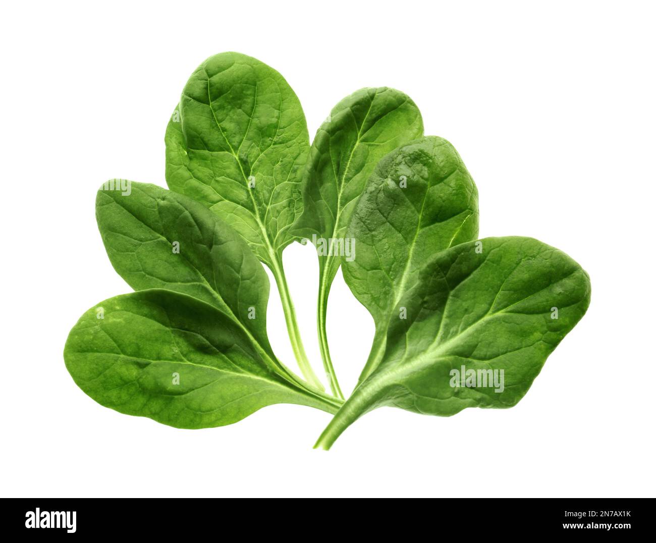 Fresh green healthy spinach leaves isolated on white, top view Stock ...