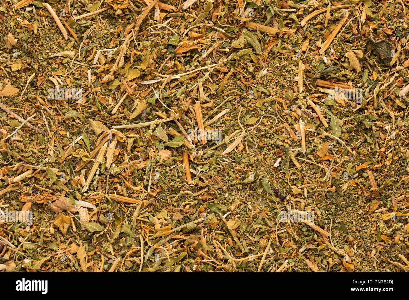 Dehydrated leaves of medicinal paico - Dysphania ambrosioides Stock Photo
