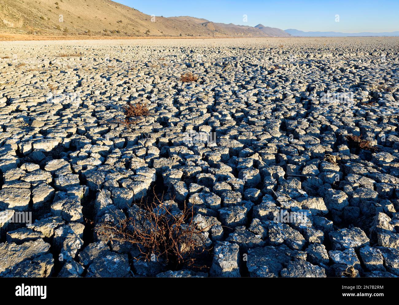 Tule lake drought hires stock photography and images Alamy