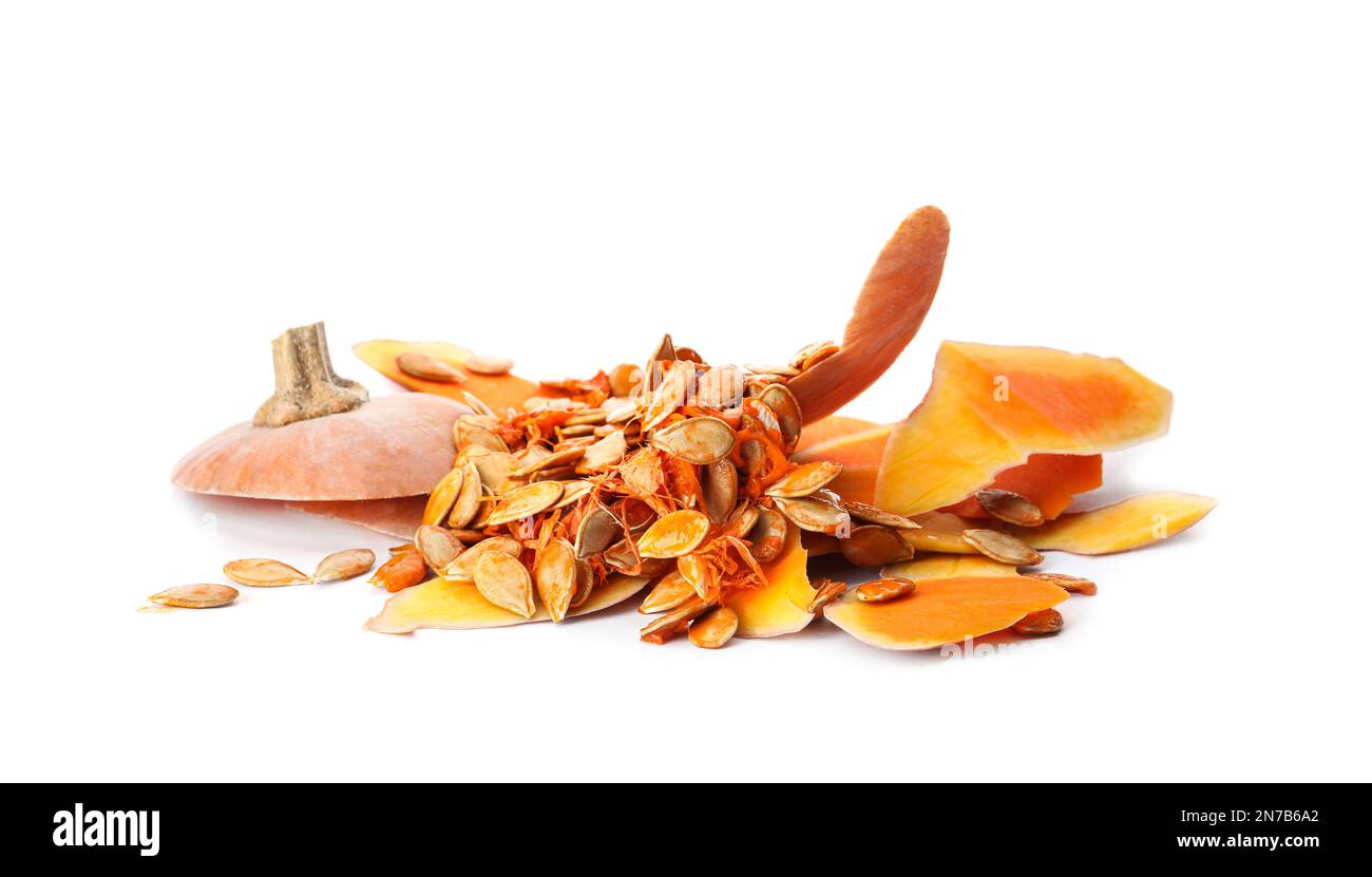 Pumpkin peel and seeds on white background. Composting of organic waste