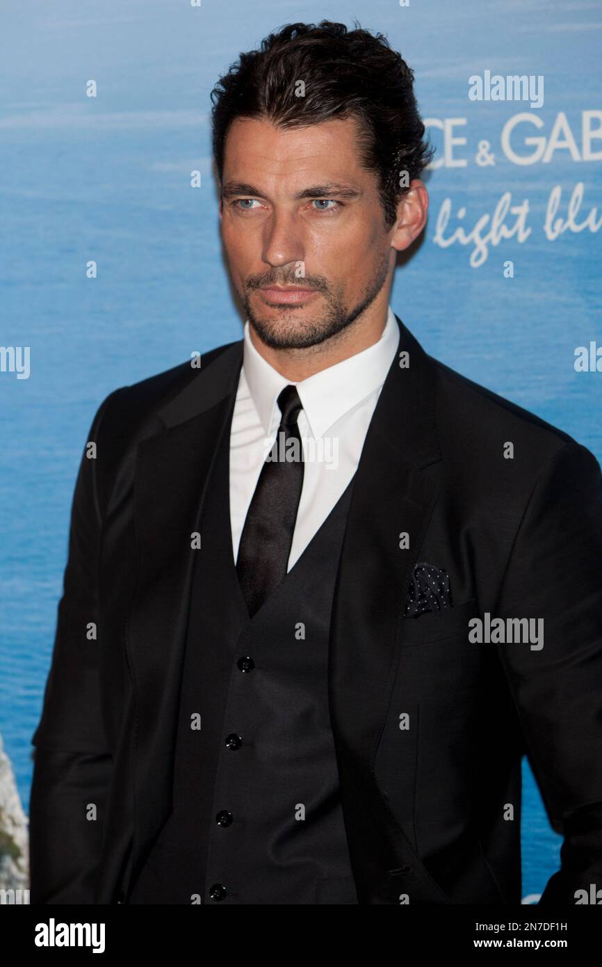 The British model David Gandy poses during the photocall of ...