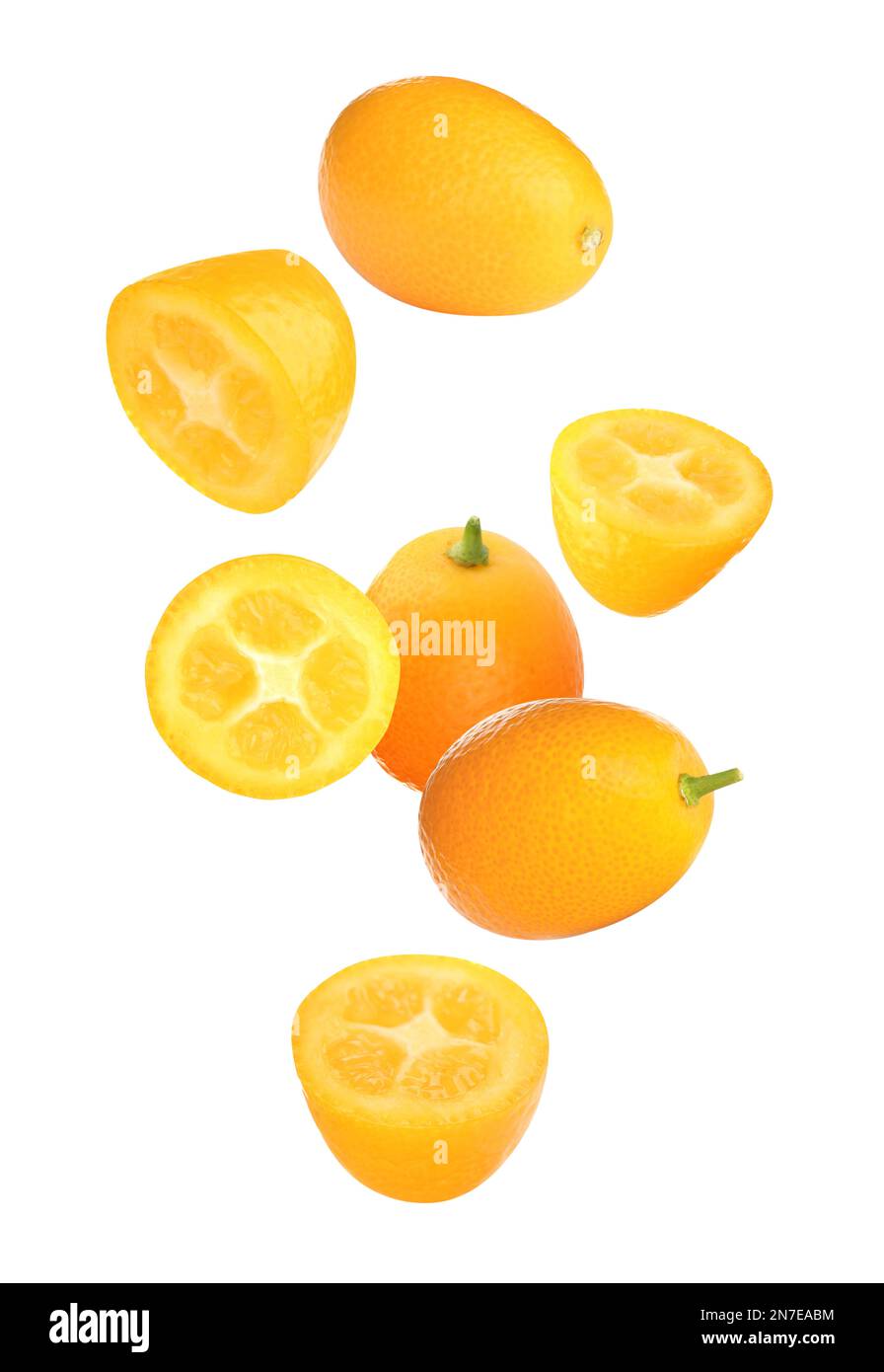 Fresh ripe kumquat fruits falling on white background Stock Photo Alamy