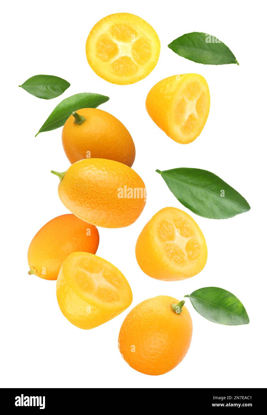 Fresh ripe kumquat fruits falling on white background Stock Photo Alamy