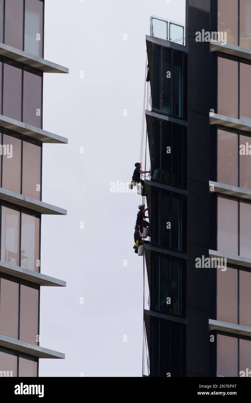 People working together outdoors cleaning windows on high rise